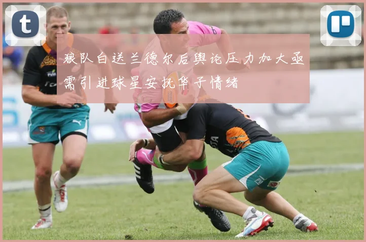 狼队白送兰德尔后舆论压力加大亟需引进球星安抚华子情绪