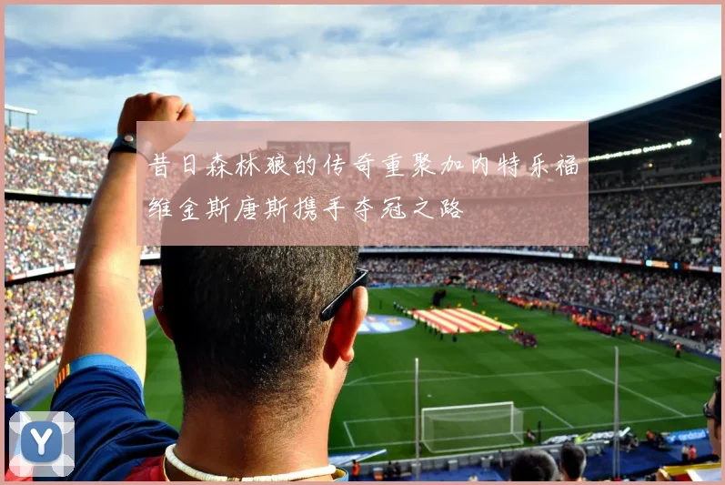 昔日森林狼的传奇重聚加内特乐福维金斯唐斯携手夺冠之路